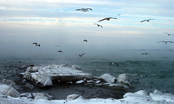 Black sea frozen