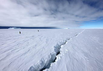 Antarctica