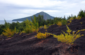 Anak Krakatau