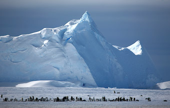 iceberg in Antarctica