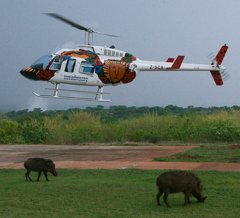 Bell-206 in Zimbabwe